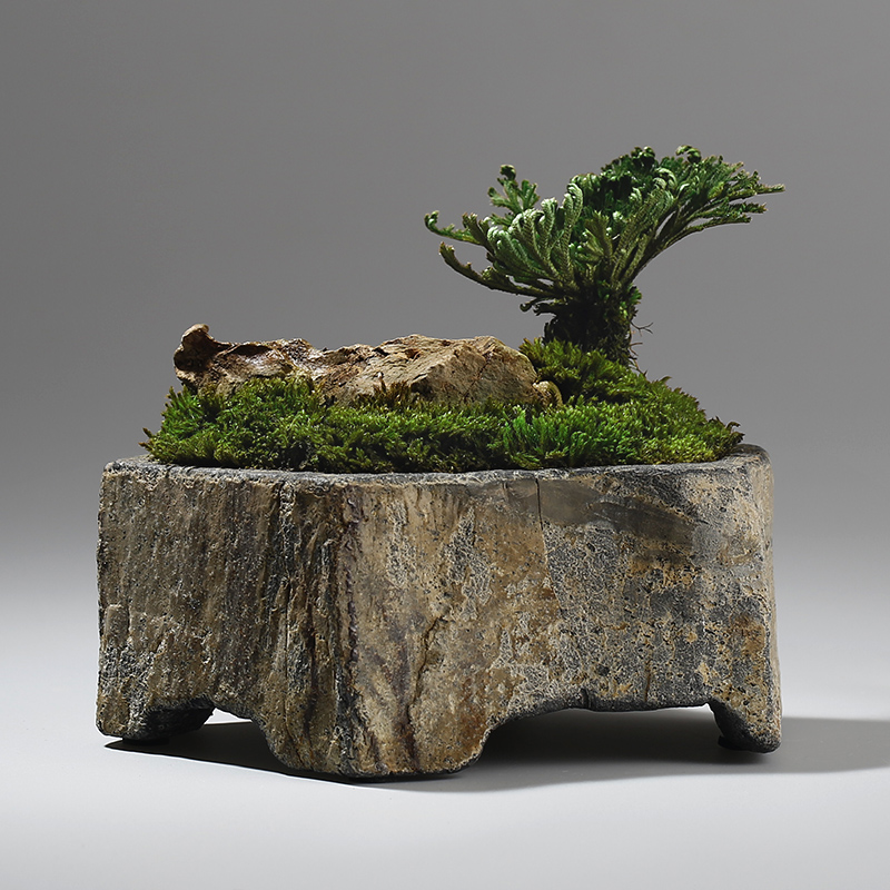 Bonsai Garden Indoor - Basalt Naturstein-Blumentopf Handgefertigter Sukkulenten-Pflanzgefäß für Innen-