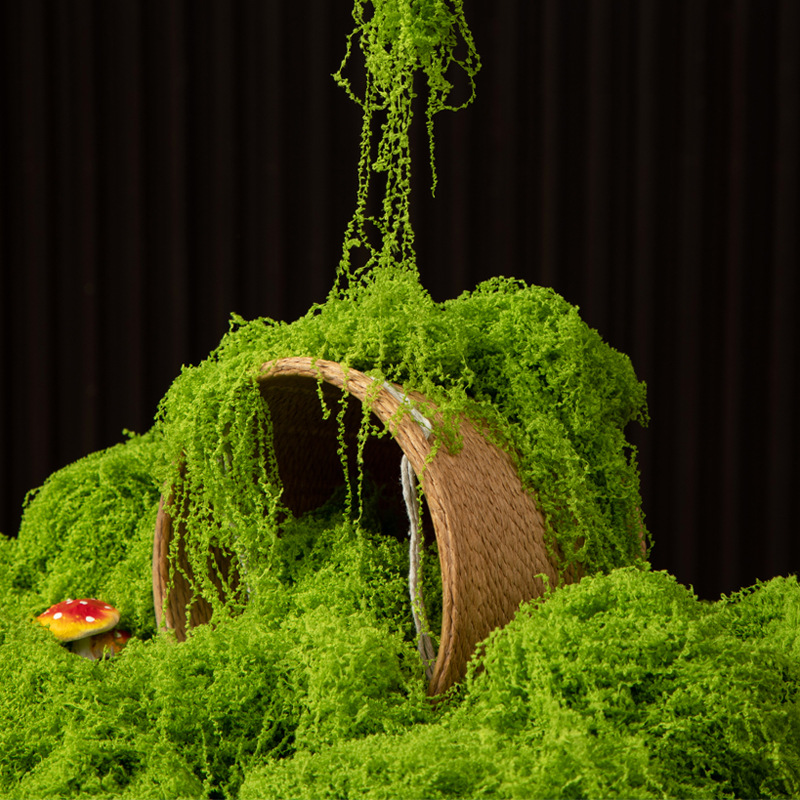 Bonsai Garden Mini - 200g Ewiges Leben Moos DIY Bastelbedarf