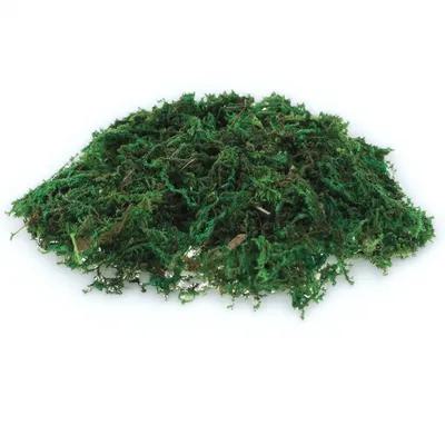 Bonsai Garden Indoor - 1 Packung natürlich aussehendes künstliches Moos