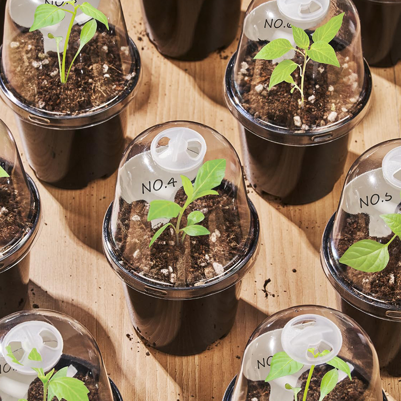 Bonsai Garden Indoor - Anzuchttöpfe Blumentöpfe für Gartenarbeit Setzlinge Haus
