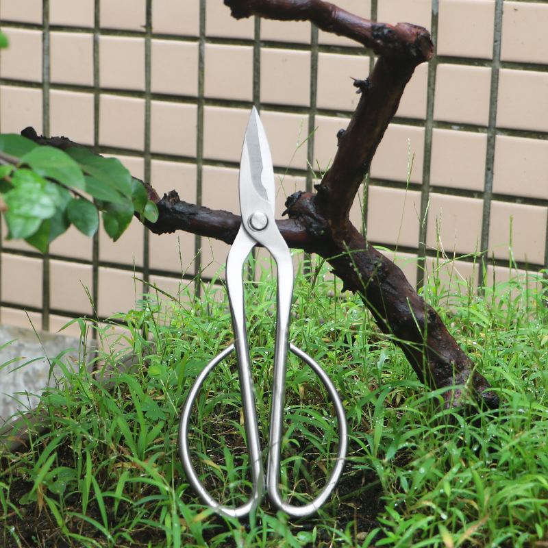 Bonsai Tool Set - Ganzstahl-Gartenschere, Laub, Sprossen, Blumenschere, Blumen-Bonsai-Schere für