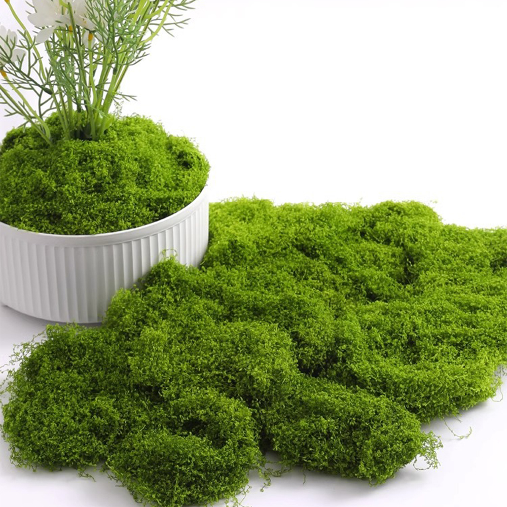 Bonsai Garden Mini - 100/200/500g Ewiges Moos DIY Bastelbedarf Künstliche