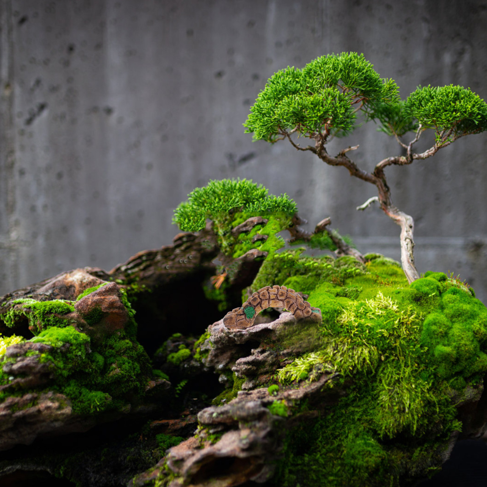 Bonsai Garden For Desk - 6-teiliges Vintage-Mikrolandschafts-Harz-Ornament-Set, Retro-Schreibtisch- und Schrankdekoration für