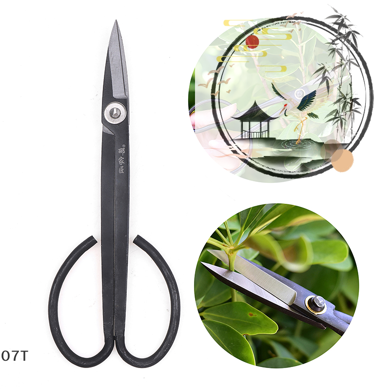 Bonsai Tool Set - Schere mit langem Griff, Bonsai-Werkzeug, Astschere