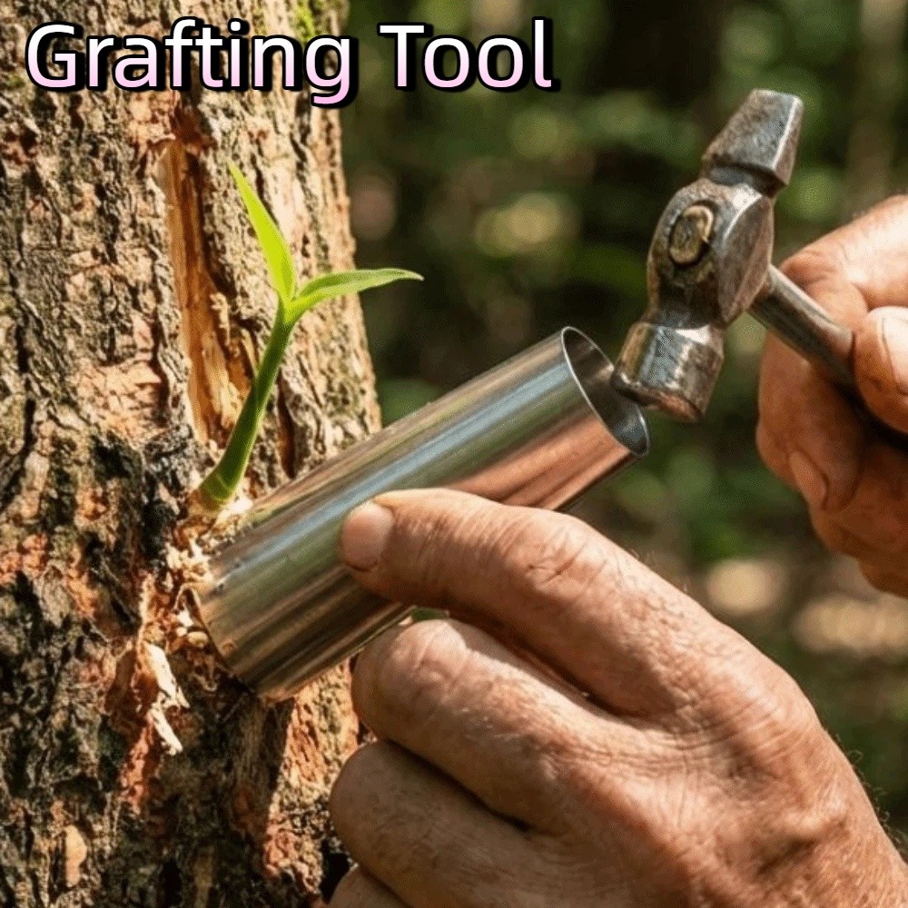 Bonsai Tool Set - 5-teiliges Edelstahl-Veredelungswerkzeug-Set, Schonende Rohrgeradezüge, Obstbaum-Veredelungsgerät, Lochstanzer