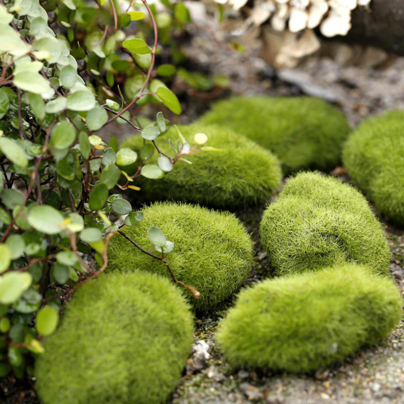 Bonsai Garden Europe - 4 Teile/satz Puppenhaus Micro Landschaft Künstliche