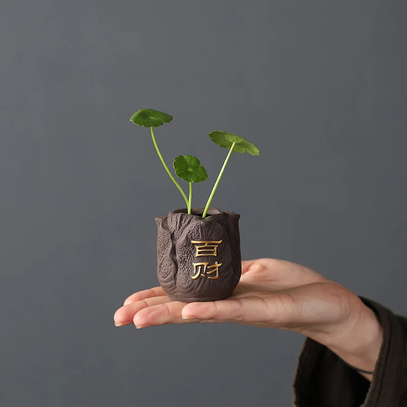 Kreative Lila Ton Tee Haustier – Bonsai Garden Mini Bewertung und Preis