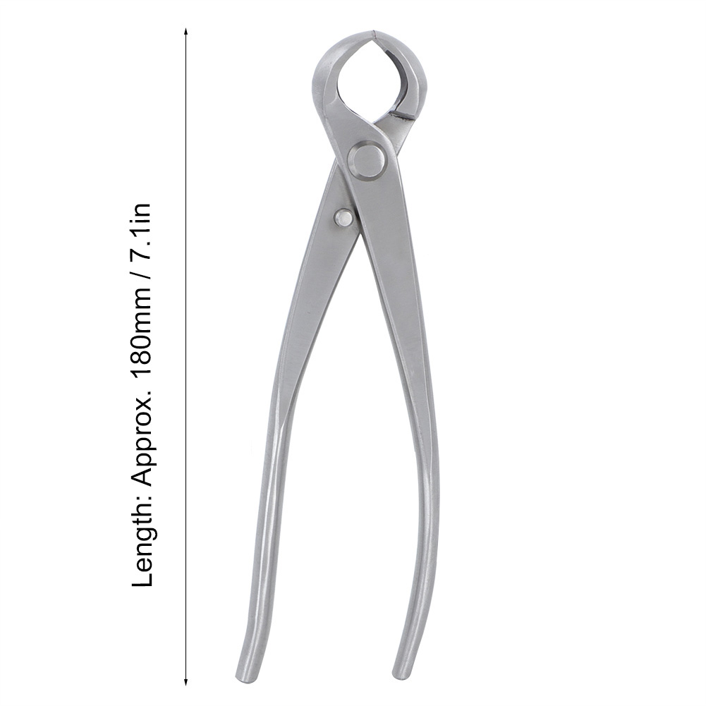 Konkaver Knopfschneider 180mm  – Bonsai Tool Set Bewertung und Preis