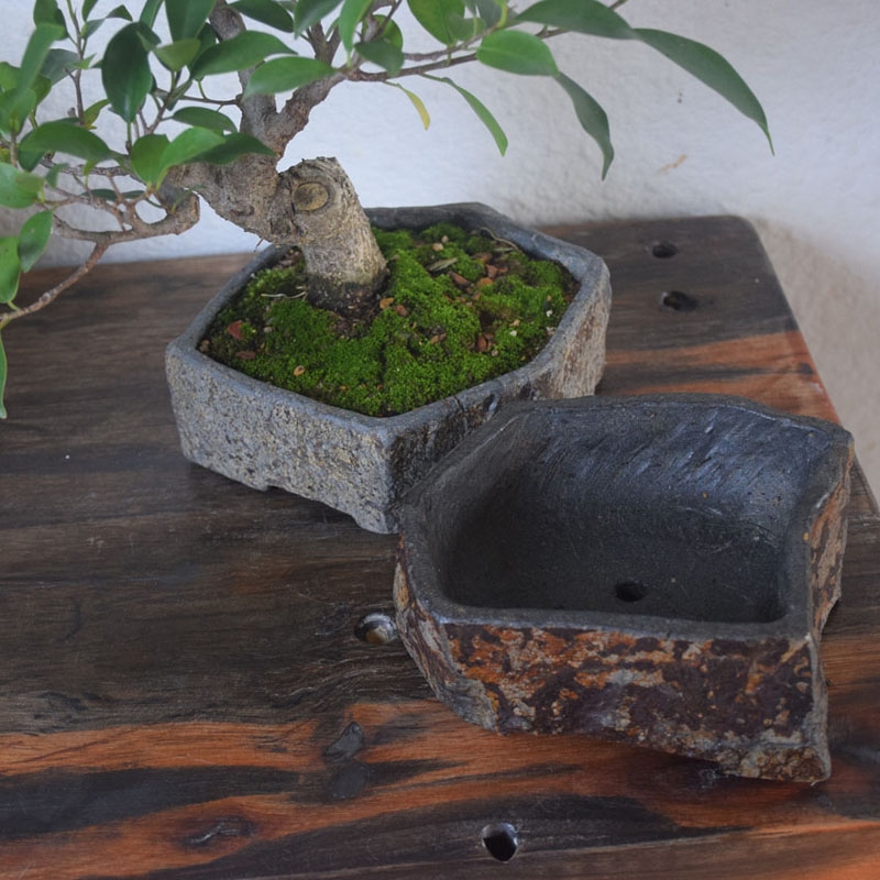 Basalt Naturstein-Blumentopf H – Bonsai Garden Indoor Bewertung und Preis