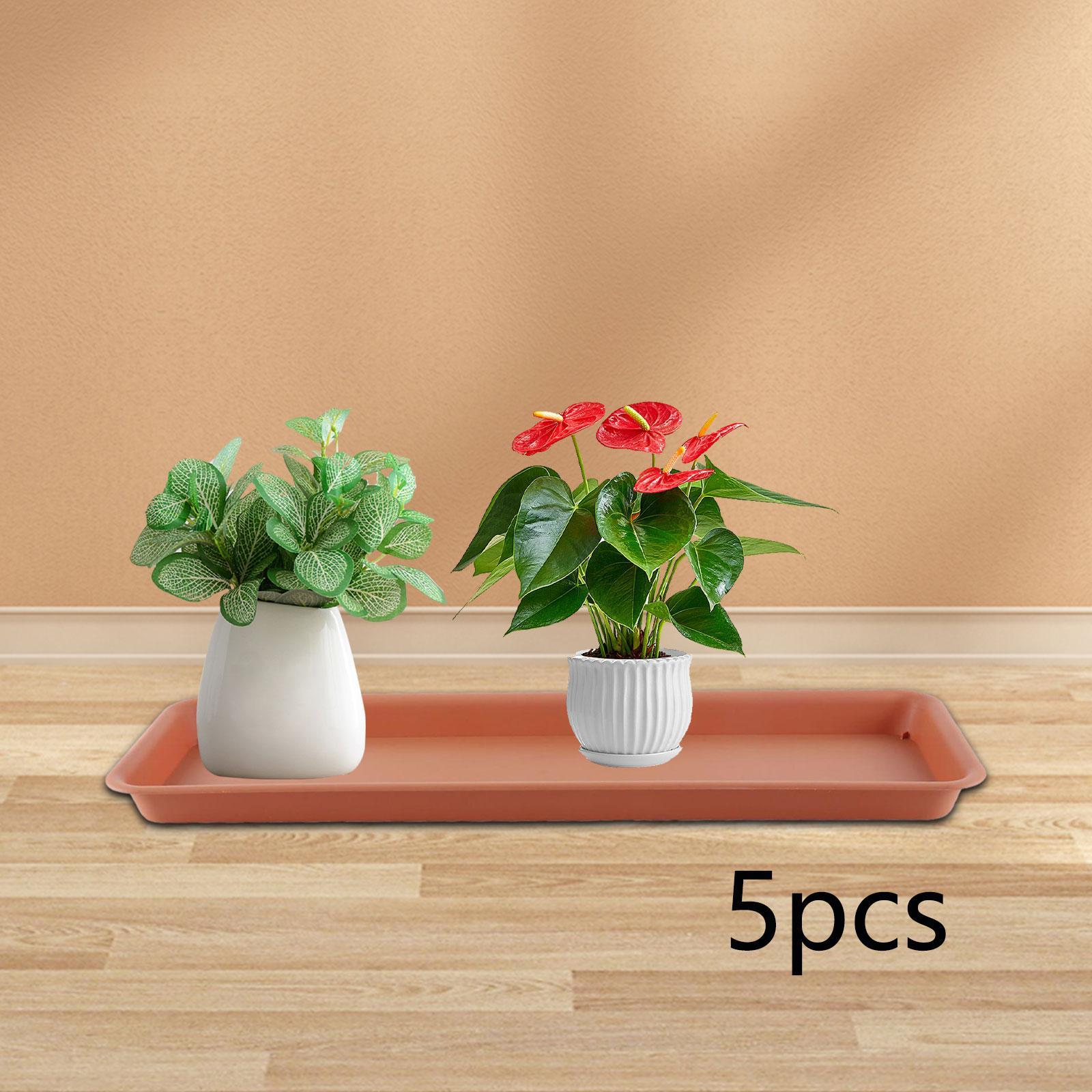 Hoher Blumentopf für die Terra – Drip Tray Saucer Bewertung und Preis