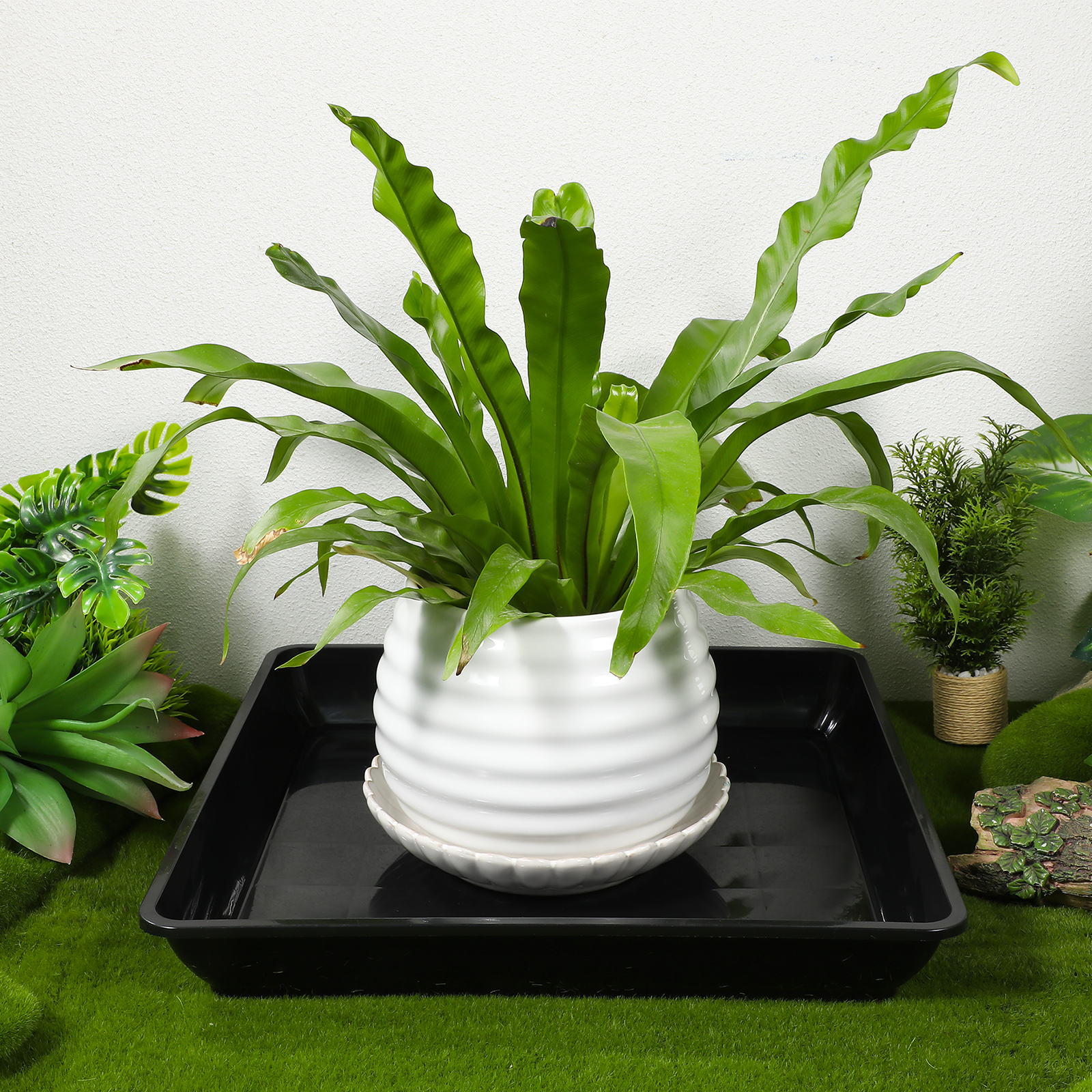 2er-Set Blumentopfuntersetzer  – Drip Tray Saucer Bewertung und Preis