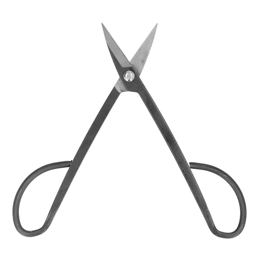 Edelstahl-Bonsaischere mit Sch – Bonsai Tool Set Bewertung und Preis