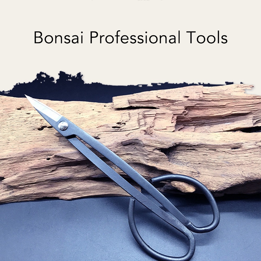 Edelstahl-Bonsaischere mit Sch – Bonsai Tool Set Bewertung und Preis