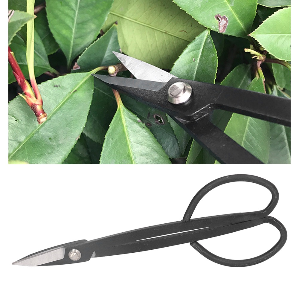 Edelstahl-Bonsaischere mit Sch – Bonsai Tool Set Bewertung und Preis
