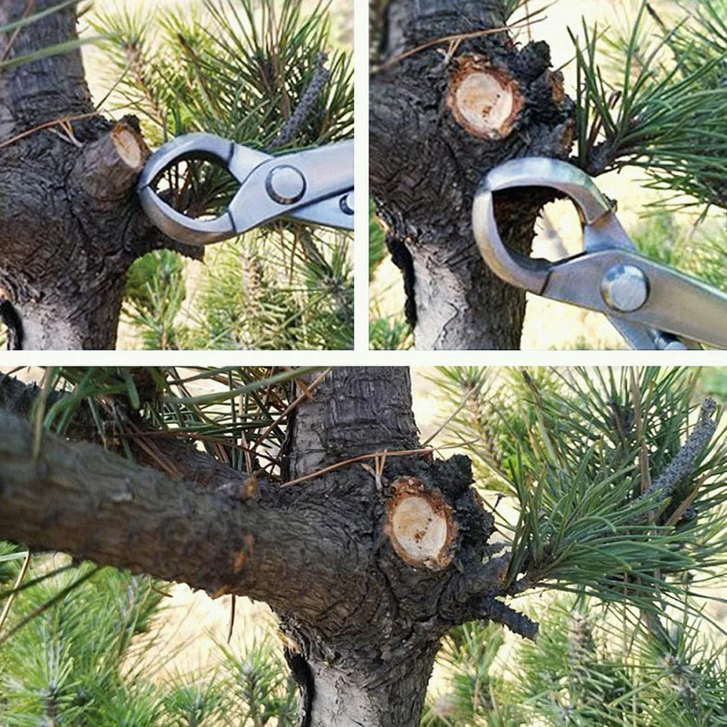 Es gibt drei Modelle von Bonsa – Bonsai Tool Set Bewertung und Preis