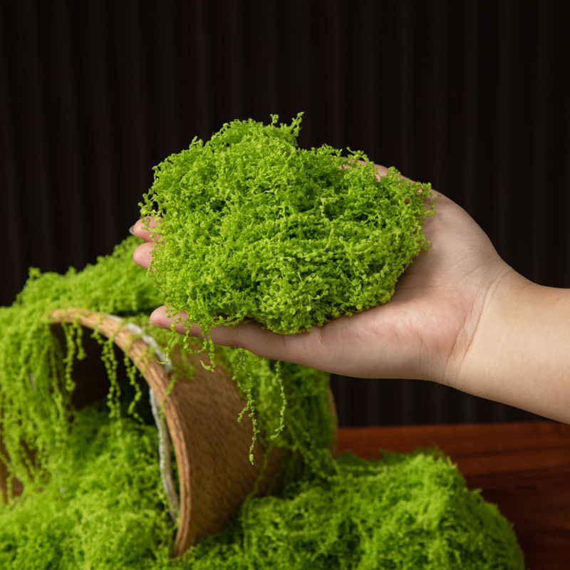 200g Ewiges Leben Moos DIY Bas – Bonsai Garden Mini Bewertung und Preis