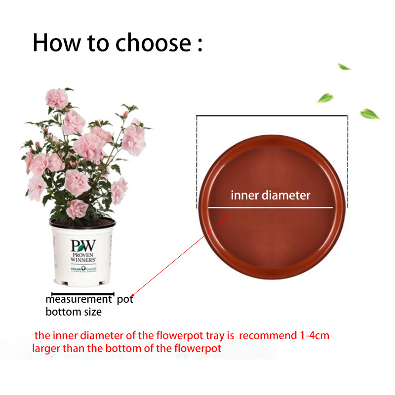 10 stücke Kunststoff Blumentop – Drip Tray Saucer Bewertung und Preis