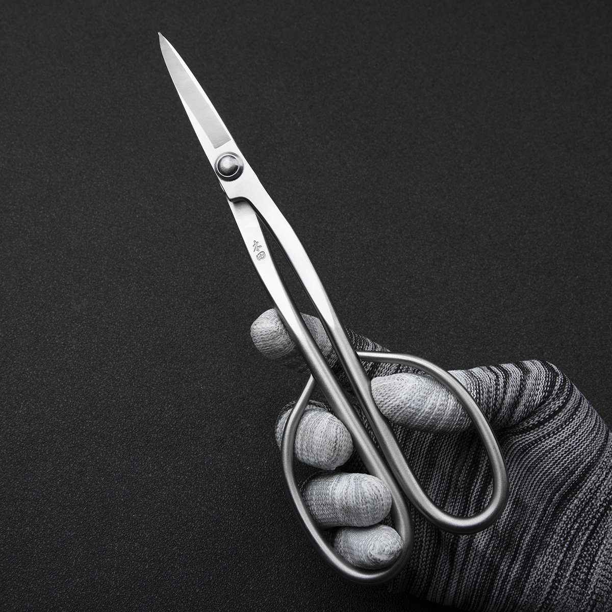 Material-Upgrade: Professionel – Bonsai Tool Set Bewertung und Preis