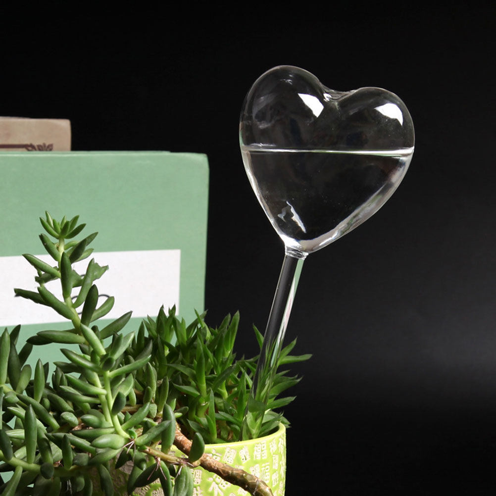 3-teiliges Set Herzförmige Gla – Bonsai Garden Indoor Bewertung und Preis