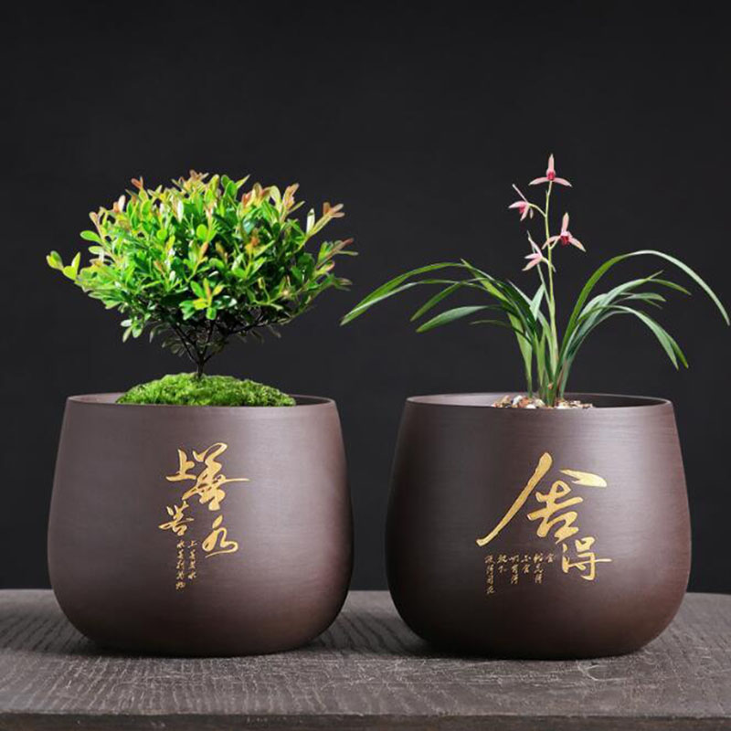 Lila Ton Blumentopf Orchidee P – Bonsai Garden Europe Bewertung und Preis