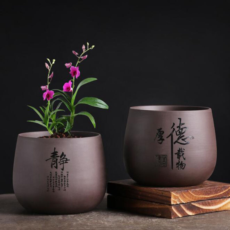 Lila Ton Blumentopf Orchidee P – Bonsai Garden Europe Bewertung und Preis