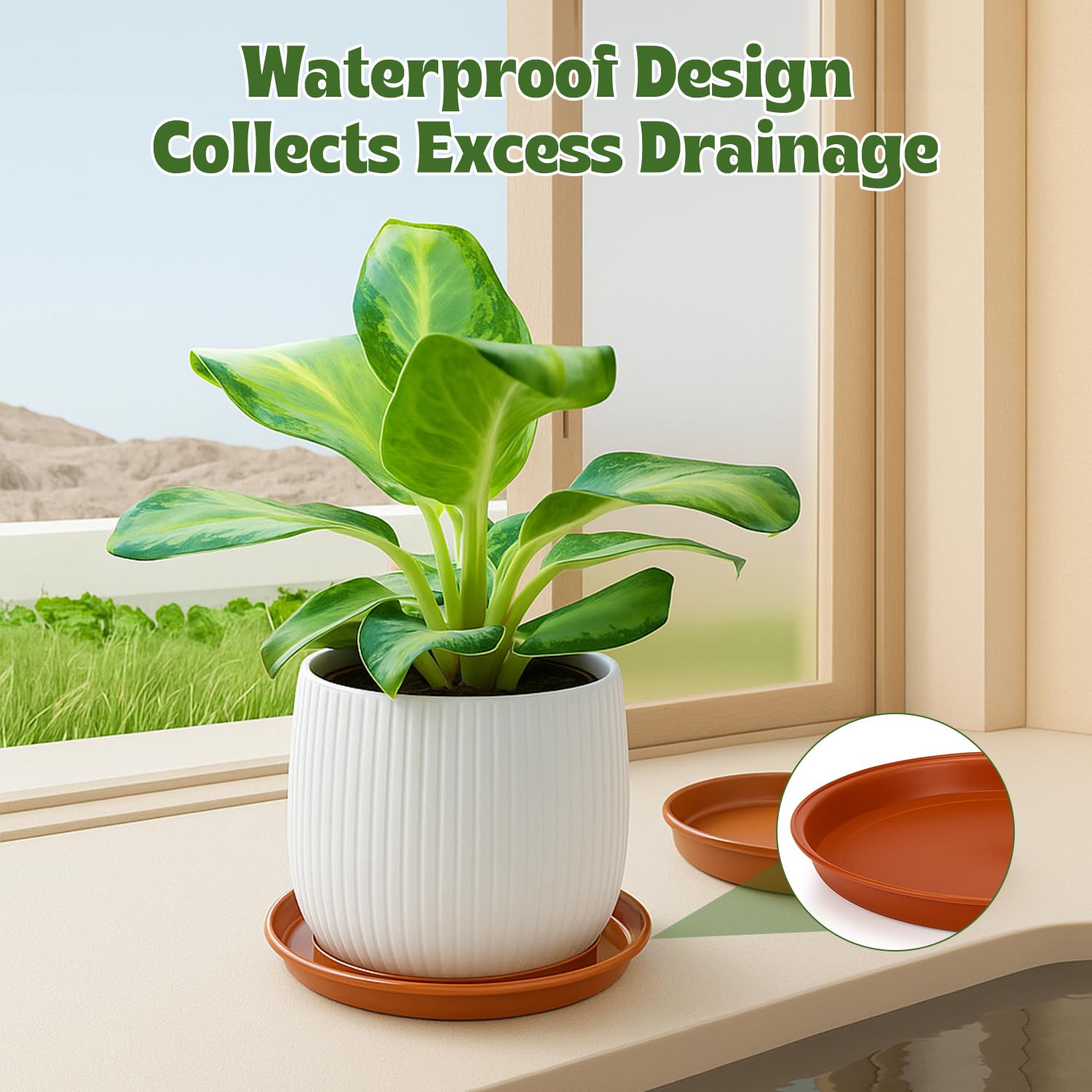 12er-Pack Blumentopf-Untertass – Drip Tray Saucer Bewertung und Preis