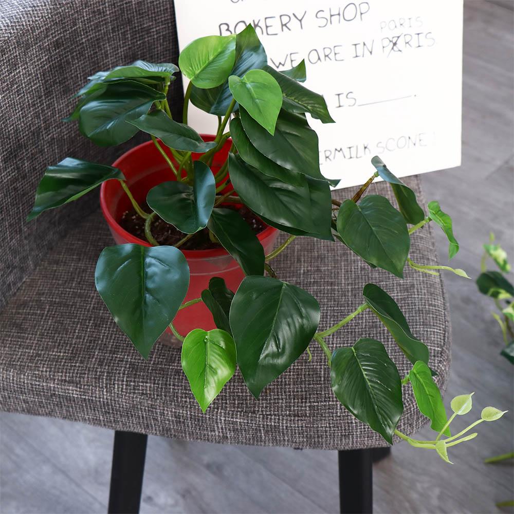 Tropische nordische Schreibtis – Bonsai Garden For Desk Bewertung und Preis