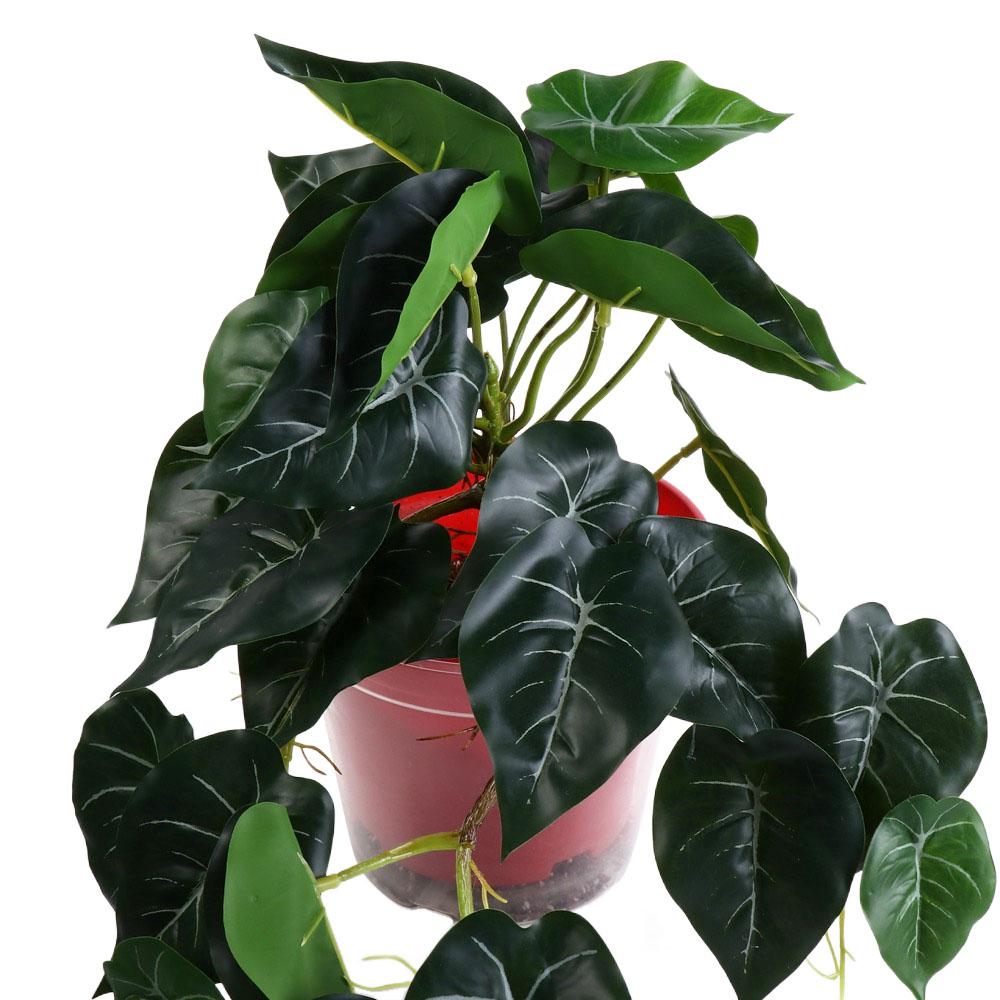 Tropische nordische Schreibtis – Bonsai Garden For Desk Bewertung und Preis