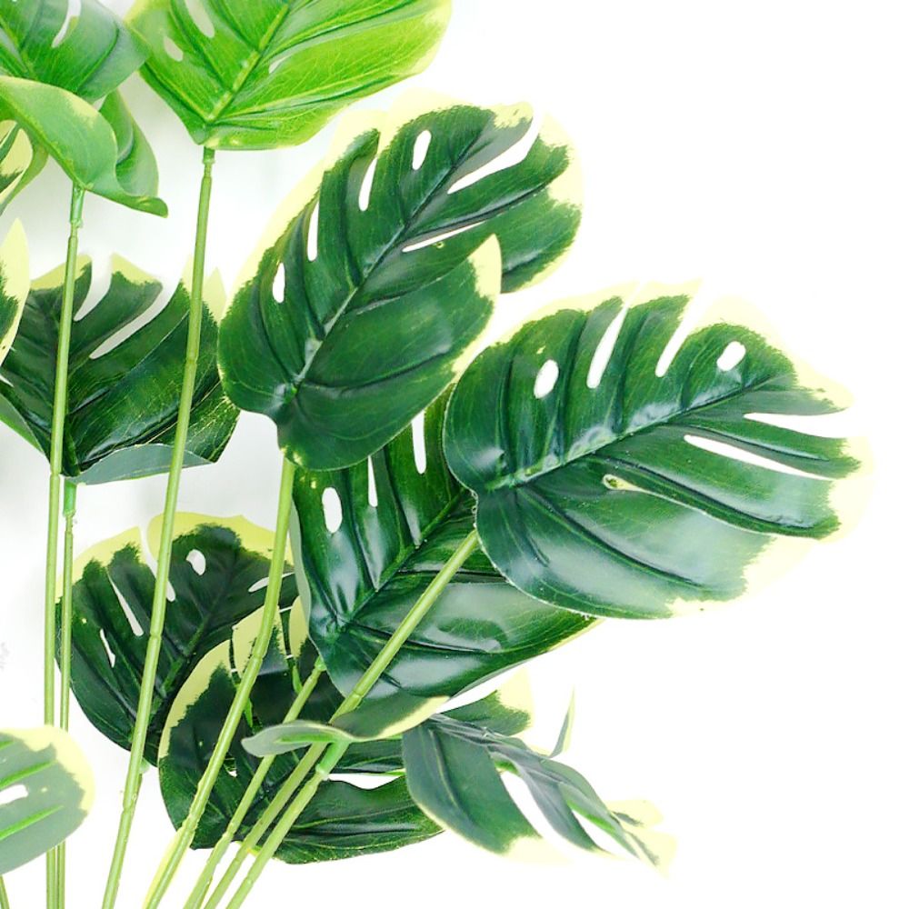 Tropische nordische Schreibtis – Bonsai Garden For Desk Bewertung und Preis