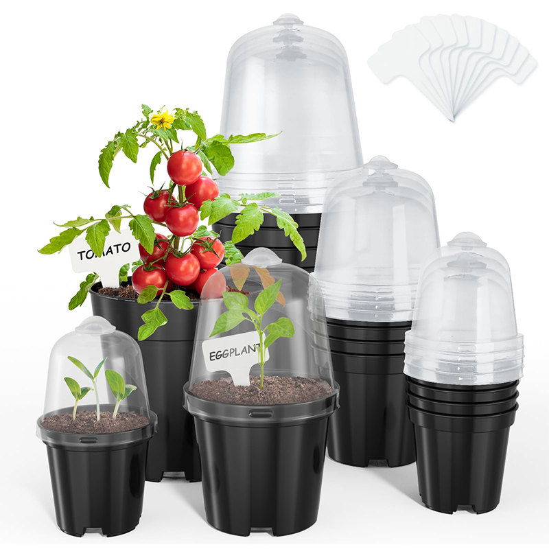 Anzuchttöpfe Blumentöpfe für G – Bonsai Garden Indoor Bewertung und Preis