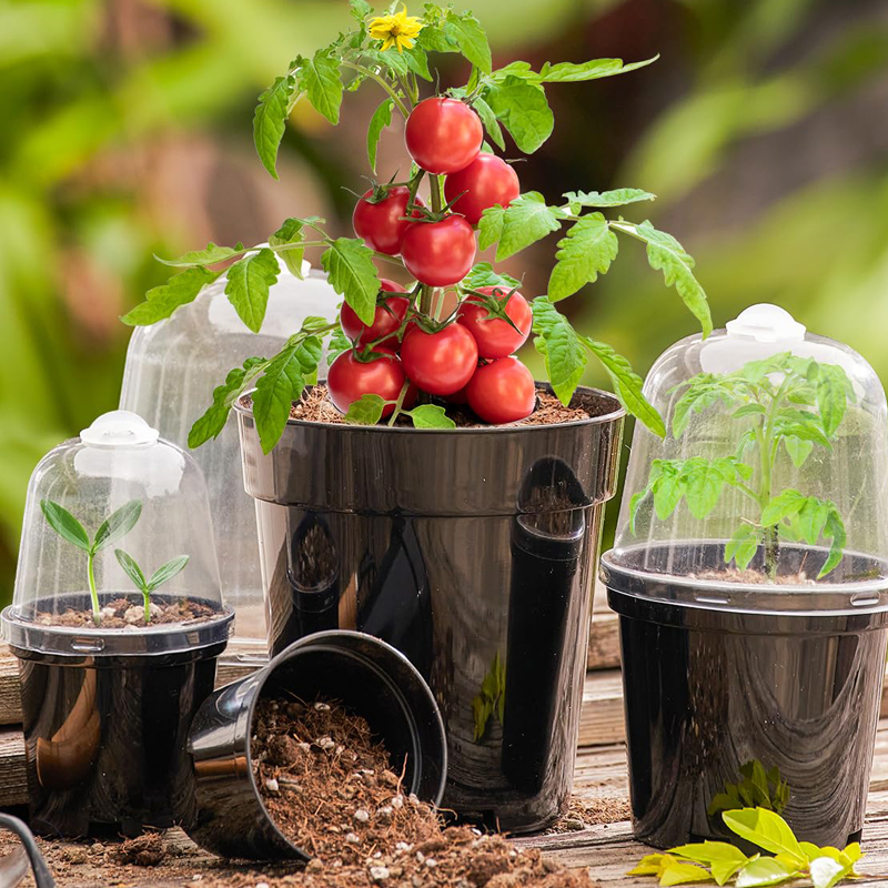 Anzuchttöpfe Blumentöpfe für G – Bonsai Garden Indoor Bewertung und Preis
