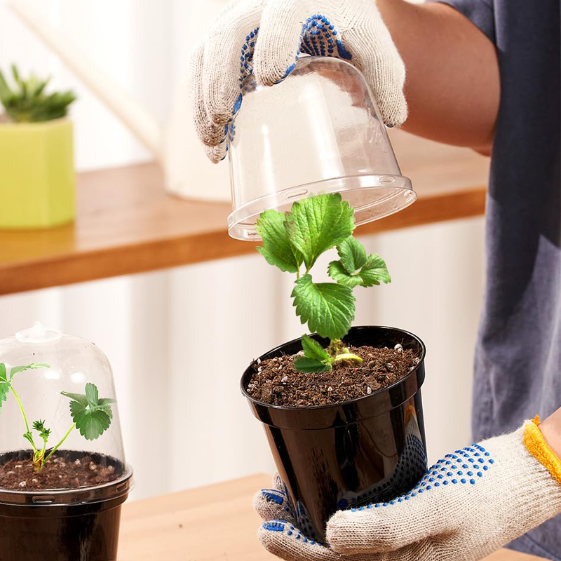 Anzuchttöpfe Blumentöpfe für G – Bonsai Garden Indoor Bewertung und Preis