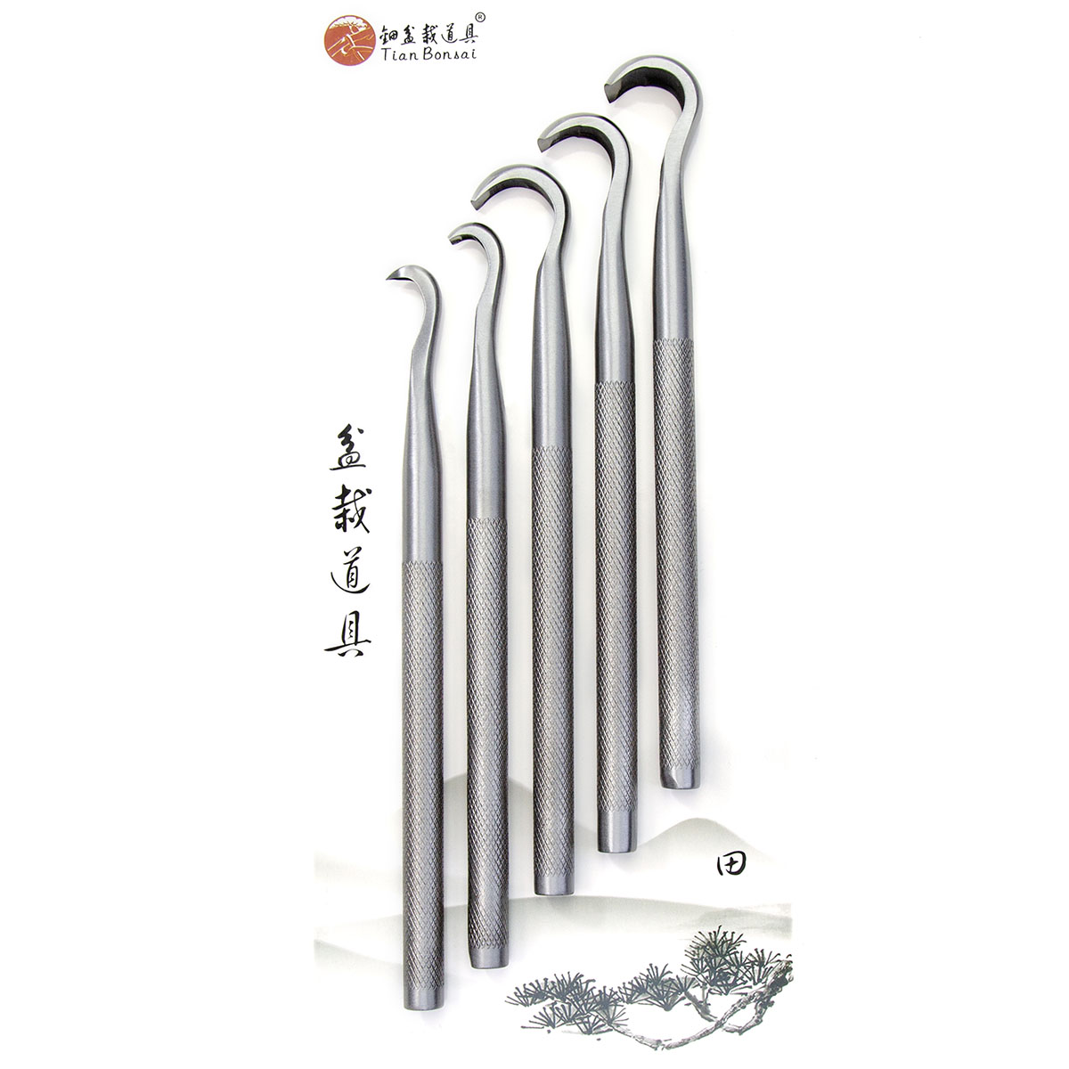 Bonsai-Schnitzwerkzeug-Set CT- – Bonsai Tool Set Bewertung und Preis
