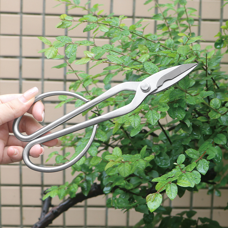 Ganzstahl-Gartenschere, Laub,  – Bonsai Tool Set Bewertung und Preis