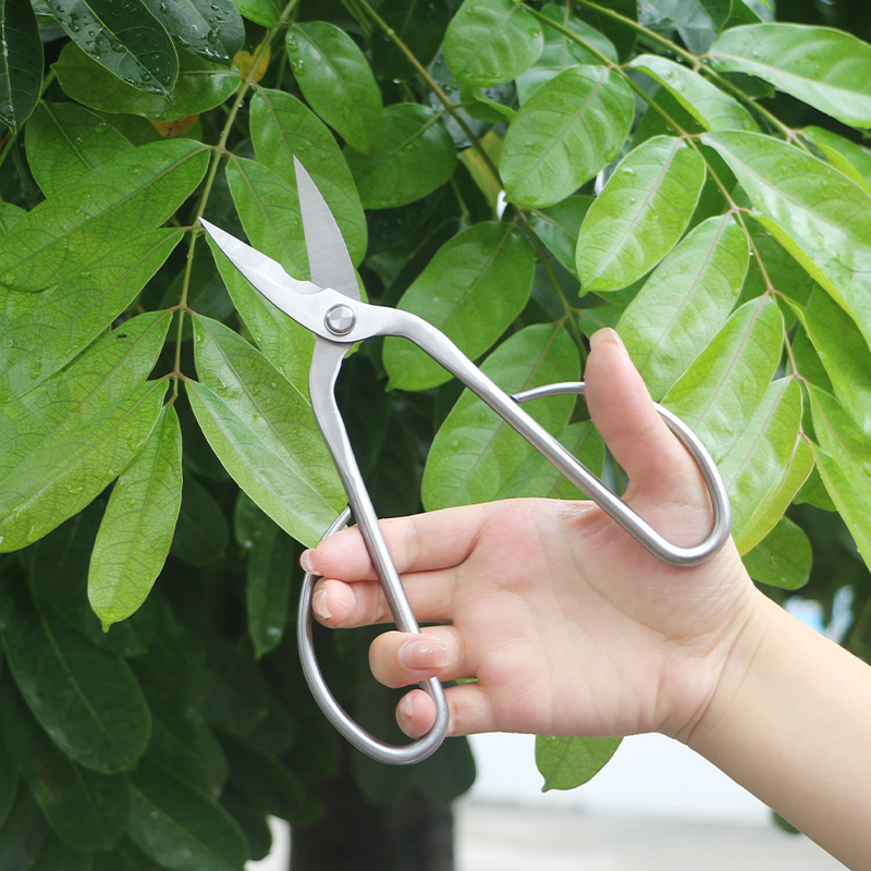 Ganzstahl-Gartenschere, Laub,  – Bonsai Tool Set Bewertung und Preis