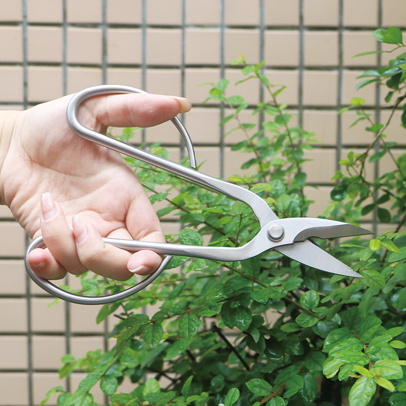 Ganzstahl-Gartenschere, Laub,  – Bonsai Tool Set Bewertung und Preis