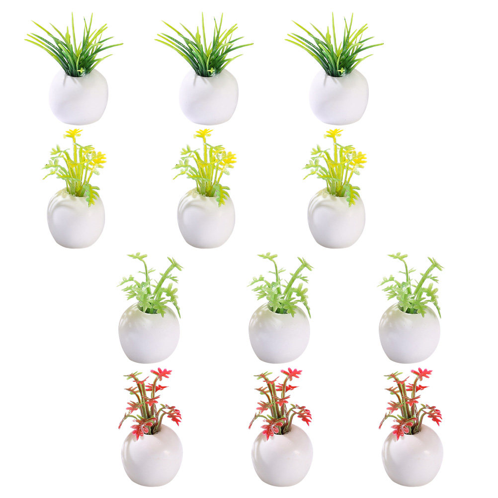 12 Stück Miniatur-Topfpflanzen – Bonsai Garden Europe Bewertung und Preis