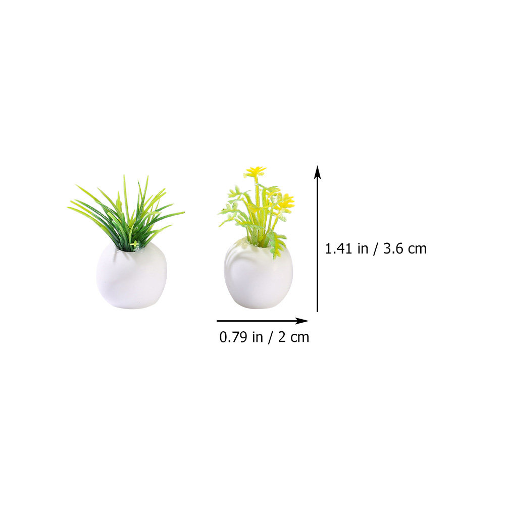 12 Stück Miniatur-Topfpflanzen – Bonsai Garden Europe Bewertung und Preis