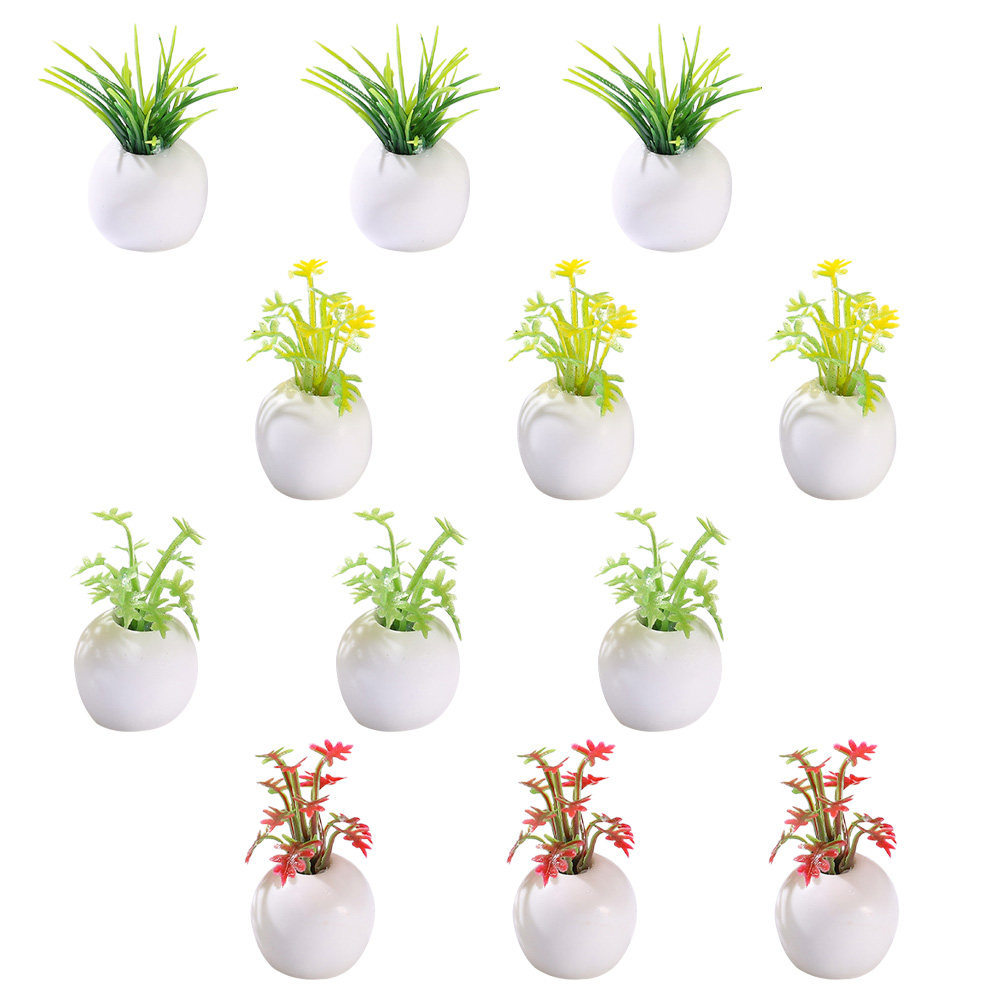 12 Stück Miniatur-Topfpflanzen – Bonsai Garden Europe Bewertung und Preis