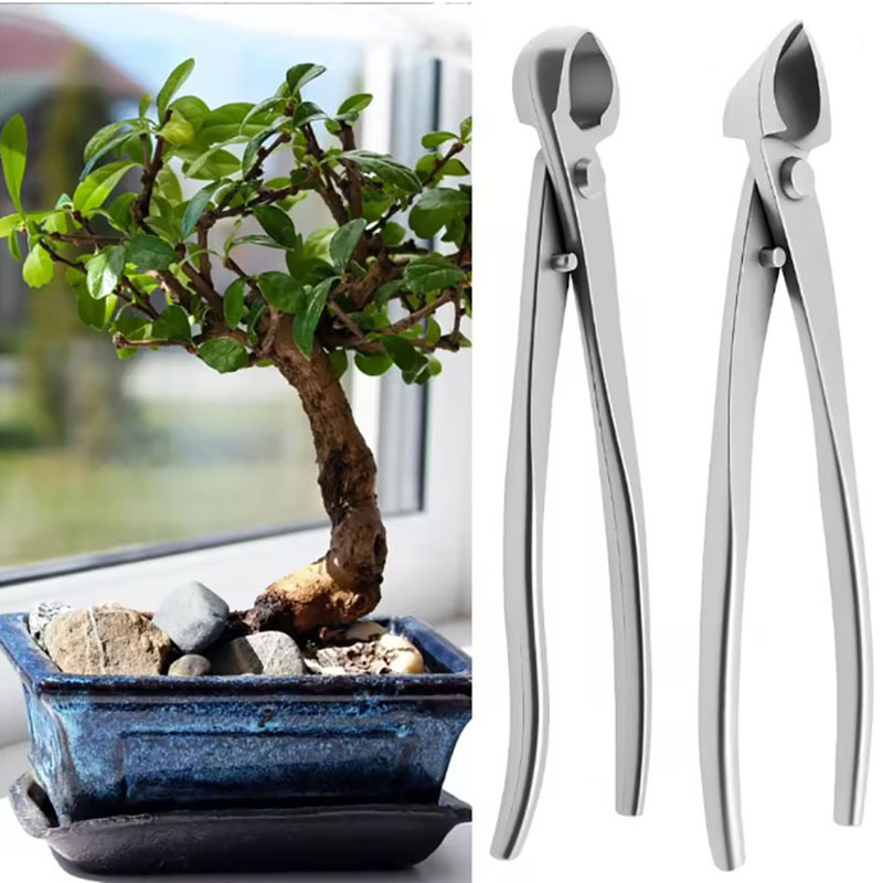 2 stücke 210mm Edelstahl Bonsa – Bonsai Tool Set Bewertung und Preis