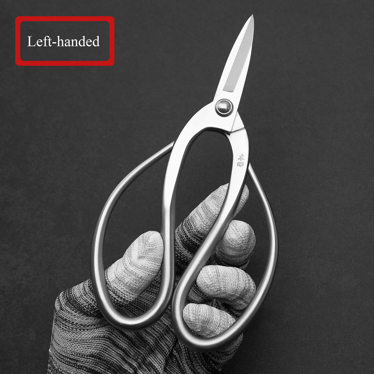 Materialverbesserung Professio – Bonsai Tool Set Bewertung und Preis