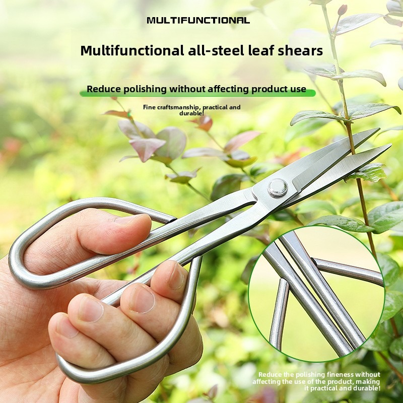 Zarte Blatt Schere Bonsai Werk – Bonsai Tool Set Bewertung und Preis