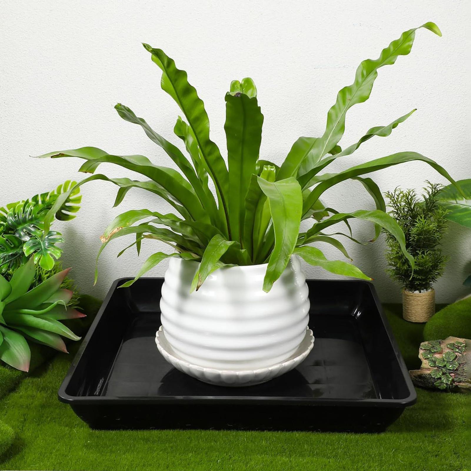 2-teiliges Blumentopf-Basis, v – Drip Tray Saucer Bewertung und Preis