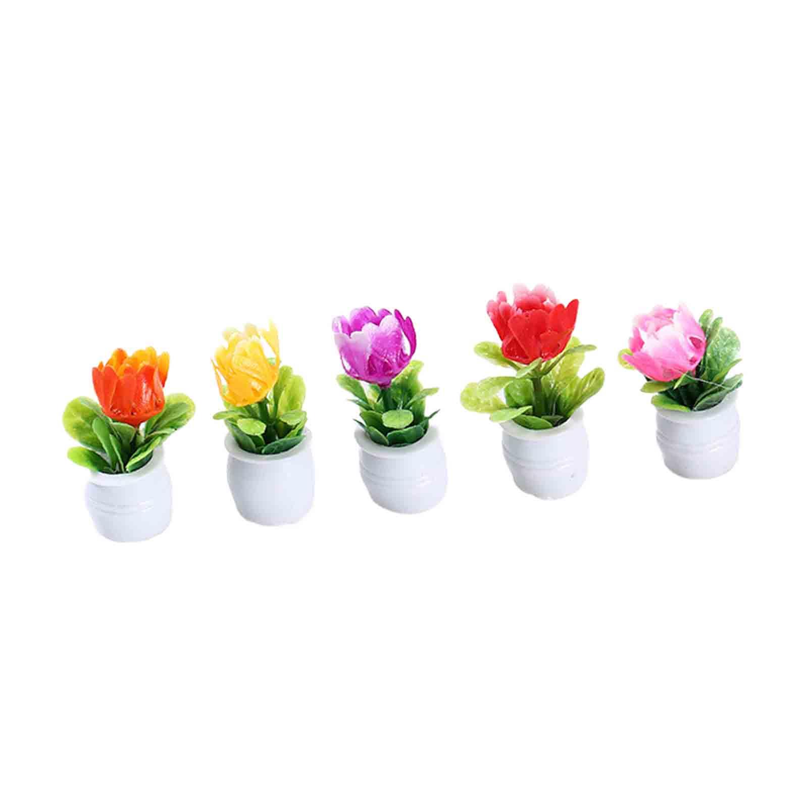 5 Stück 1:12 Puppenhaus-Miniat – Bonsai Garden Europe Bewertung und Preis