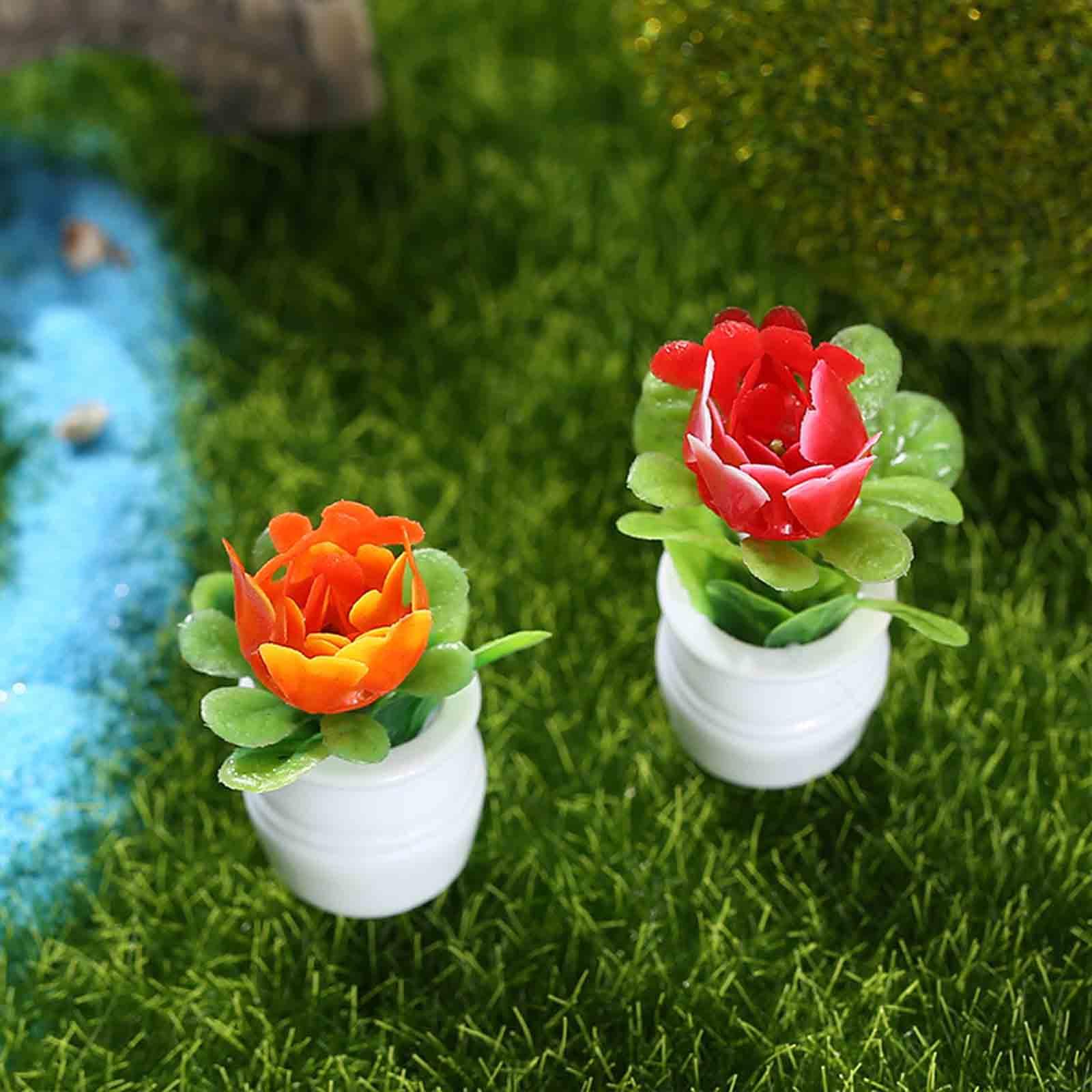 5 Stück 1:12 Puppenhaus-Miniat – Bonsai Garden Europe Bewertung und Preis