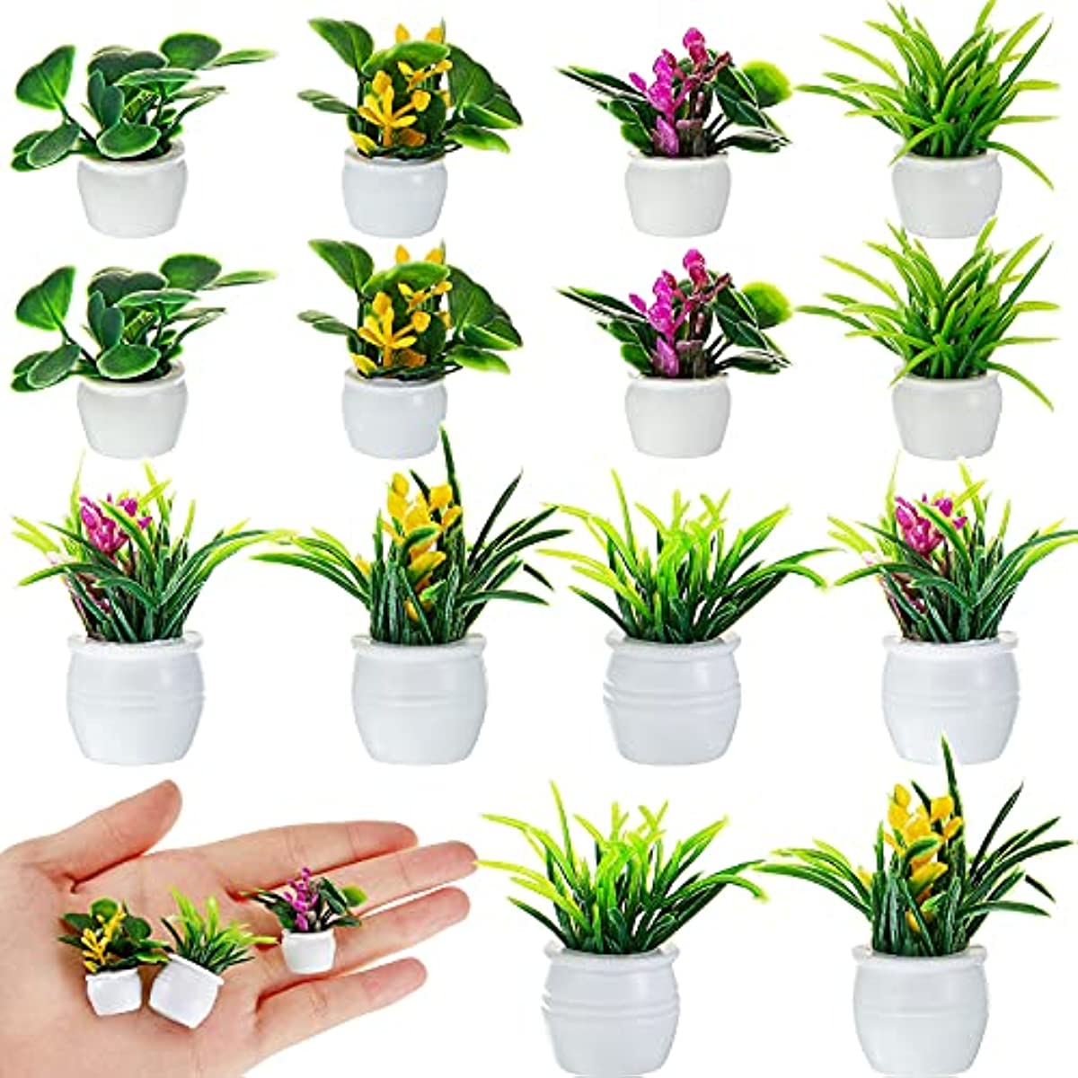 Puppenhaus-Pflanze, Miniatur-B – Bonsai Garden Mini Bewertung und Preis
