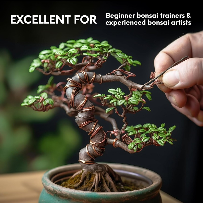 5M Bonsai-Trainingsdraht-Set f – Bonsai Tool Set Bewertung und Preis