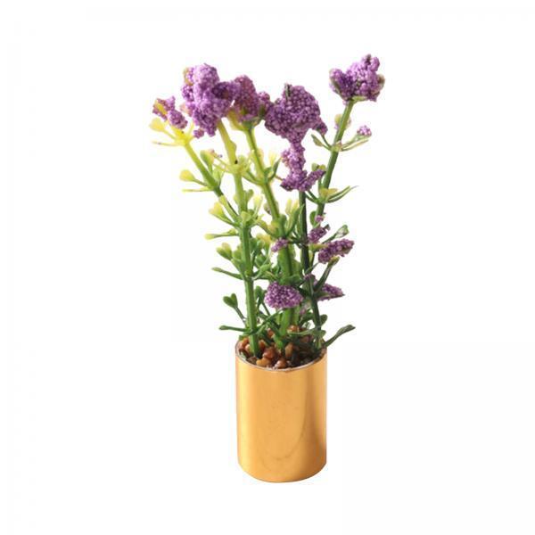 Miniatur-Topfpflanzen-Ornament – Bonsai Garden Europe Bewertung und Preis