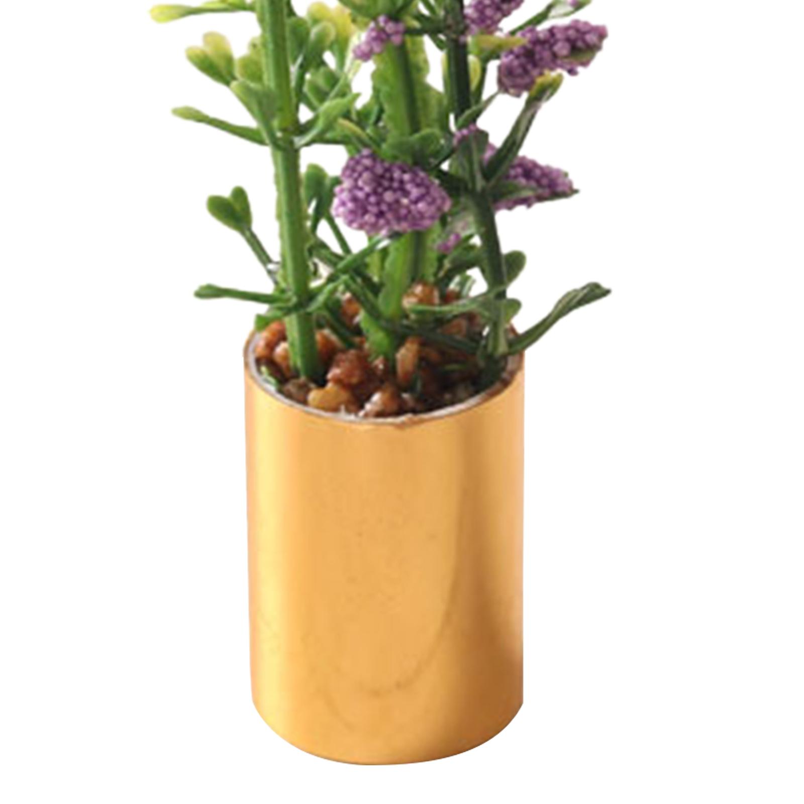 Miniatur-Topfpflanzen-Ornament – Bonsai Garden Europe Bewertung und Preis