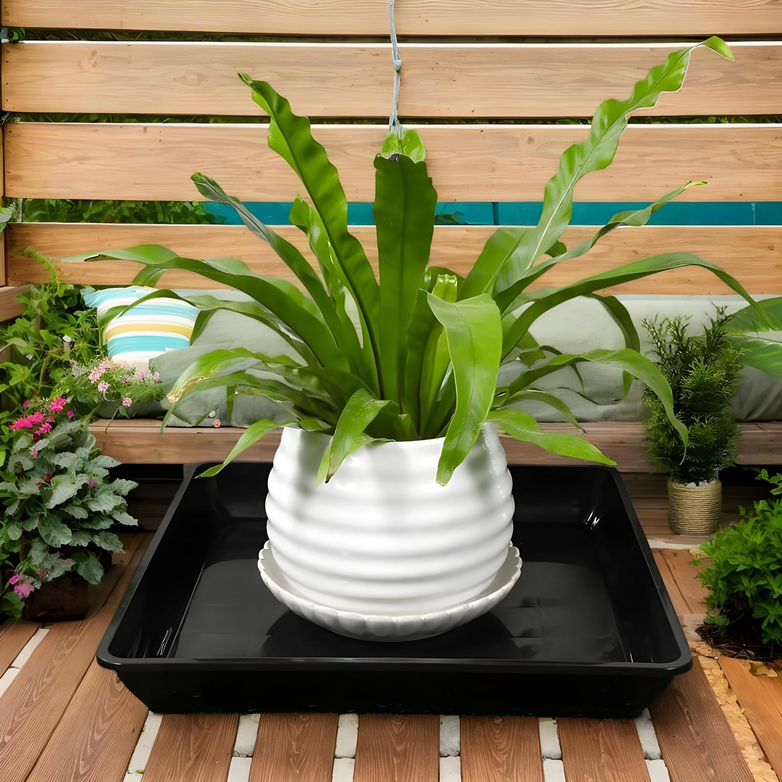 Pflanzentöpfe mit Untersetzer, – Drip Tray Saucer Bewertung und Preis